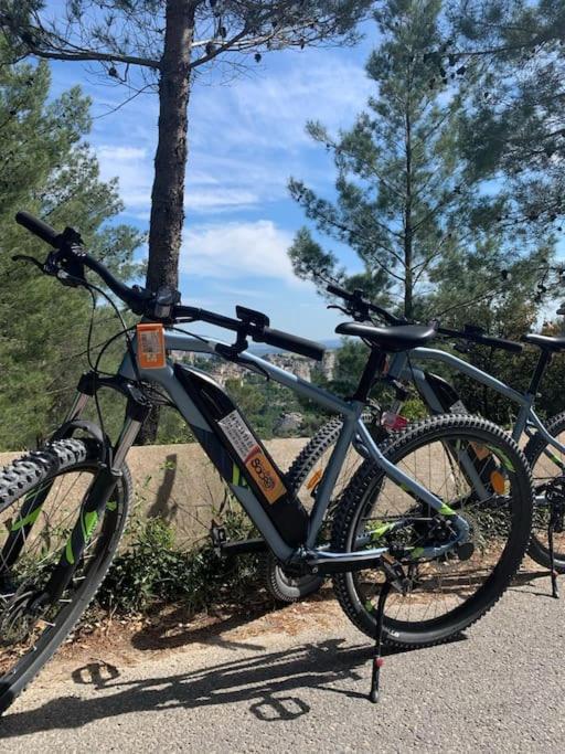 "Le Nature" Camargue Jardin アルル エクステリア 写真